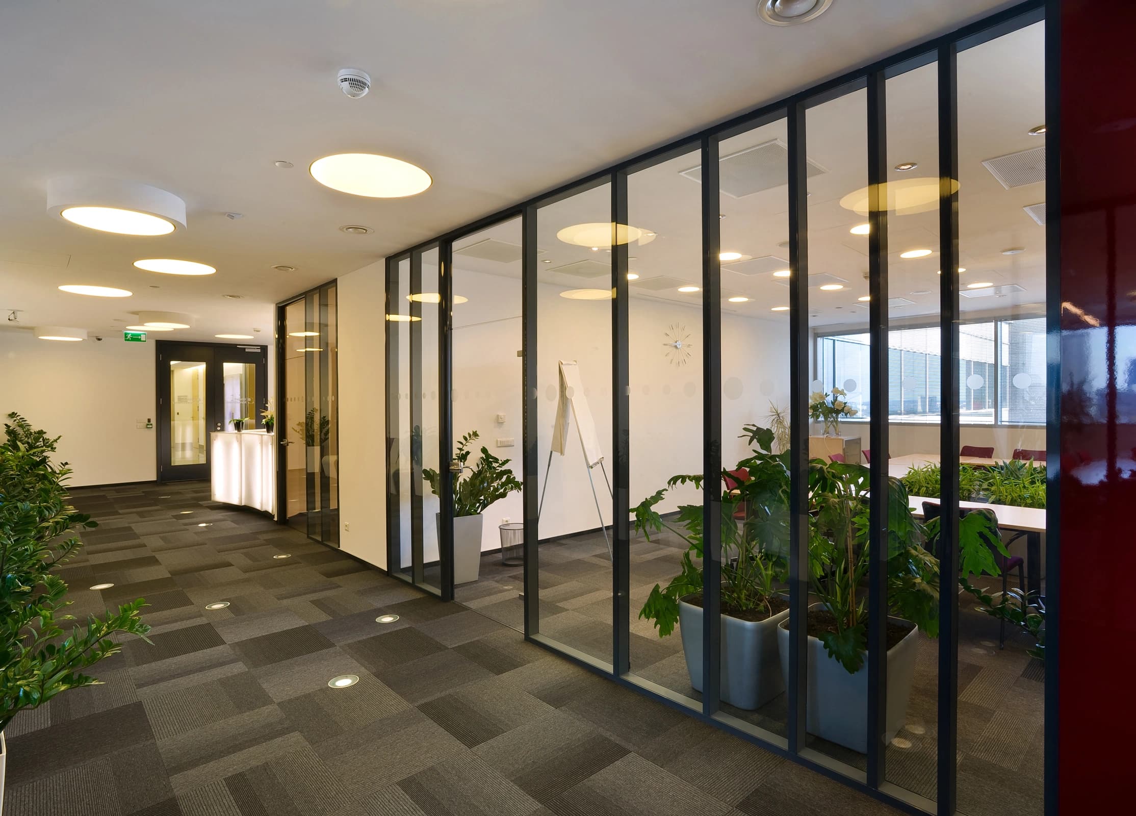 what are the different types of office partitions?
